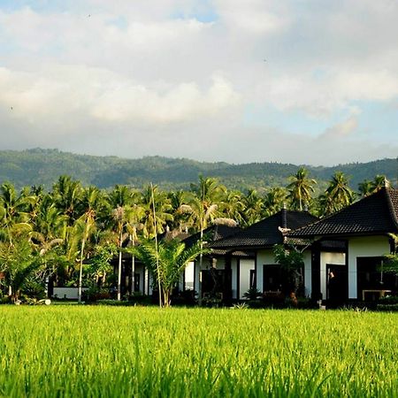 ปันดาวา วิลเลจ Hotel โลวินา ภายนอก รูปภาพ