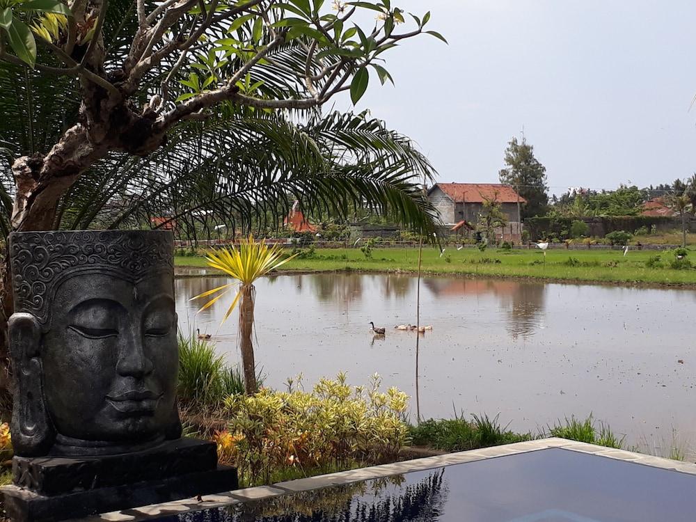 ปันดาวา วิลเลจ Hotel โลวินา ภายนอก รูปภาพ
