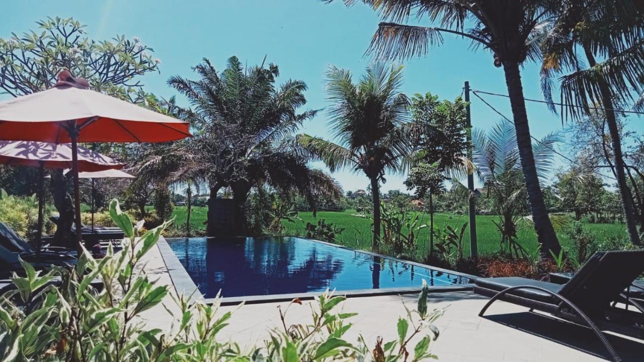 ปันดาวา วิลเลจ Hotel โลวินา ภายนอก รูปภาพ