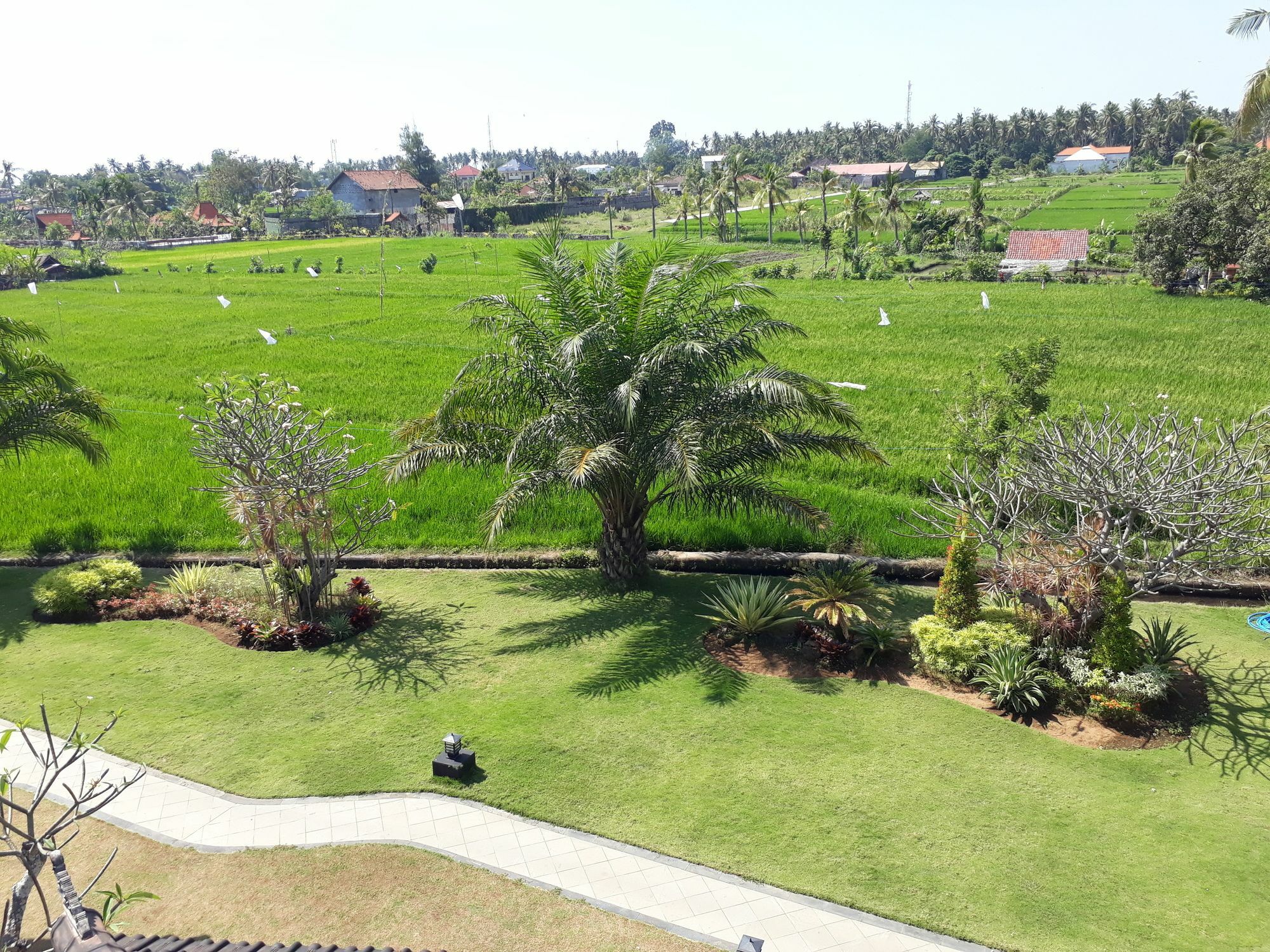 ปันดาวา วิลเลจ Hotel โลวินา ภายนอก รูปภาพ