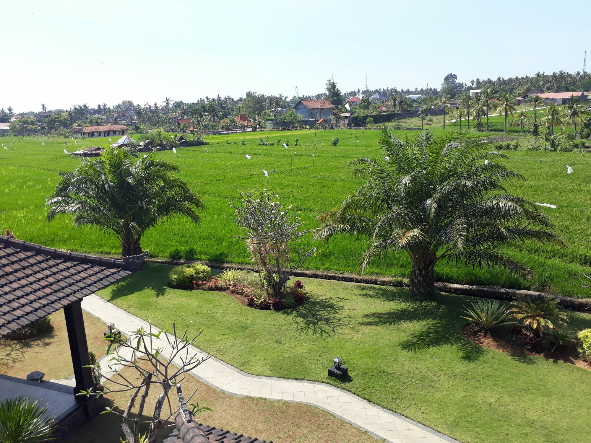 ปันดาวา วิลเลจ Hotel โลวินา ภายนอก รูปภาพ