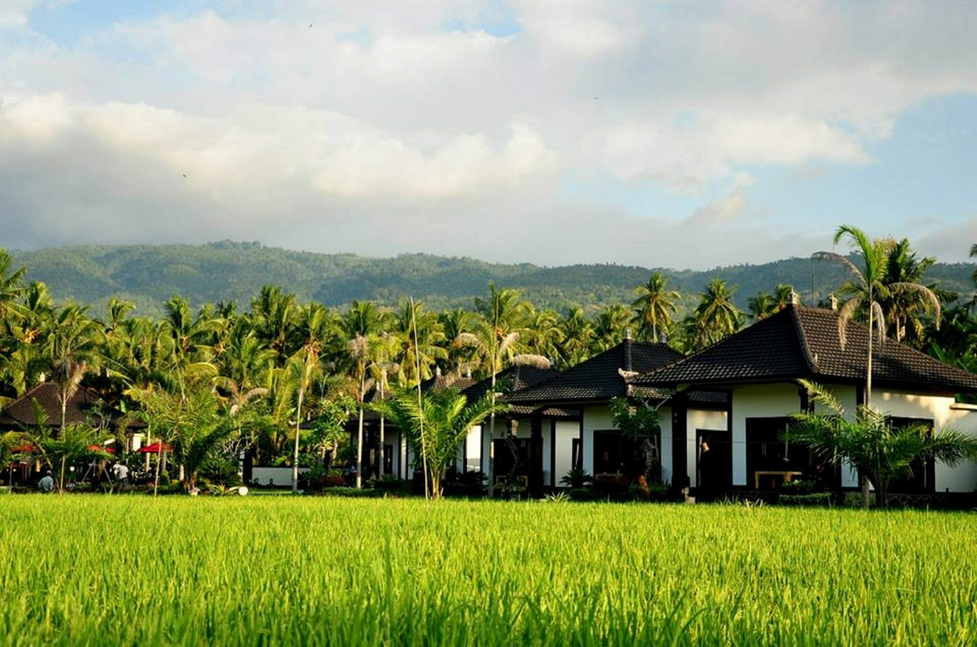 ปันดาวา วิลเลจ Hotel โลวินา ภายนอก รูปภาพ