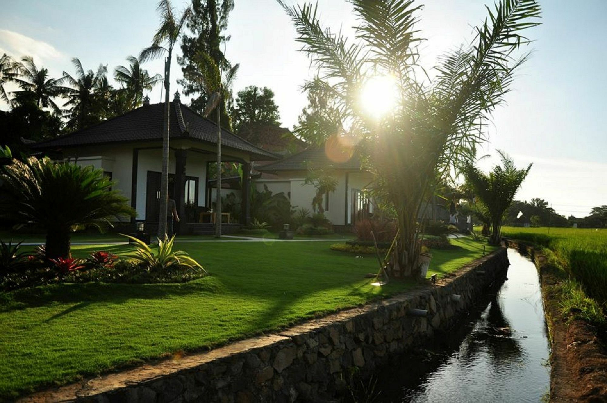 ปันดาวา วิลเลจ Hotel โลวินา ภายนอก รูปภาพ