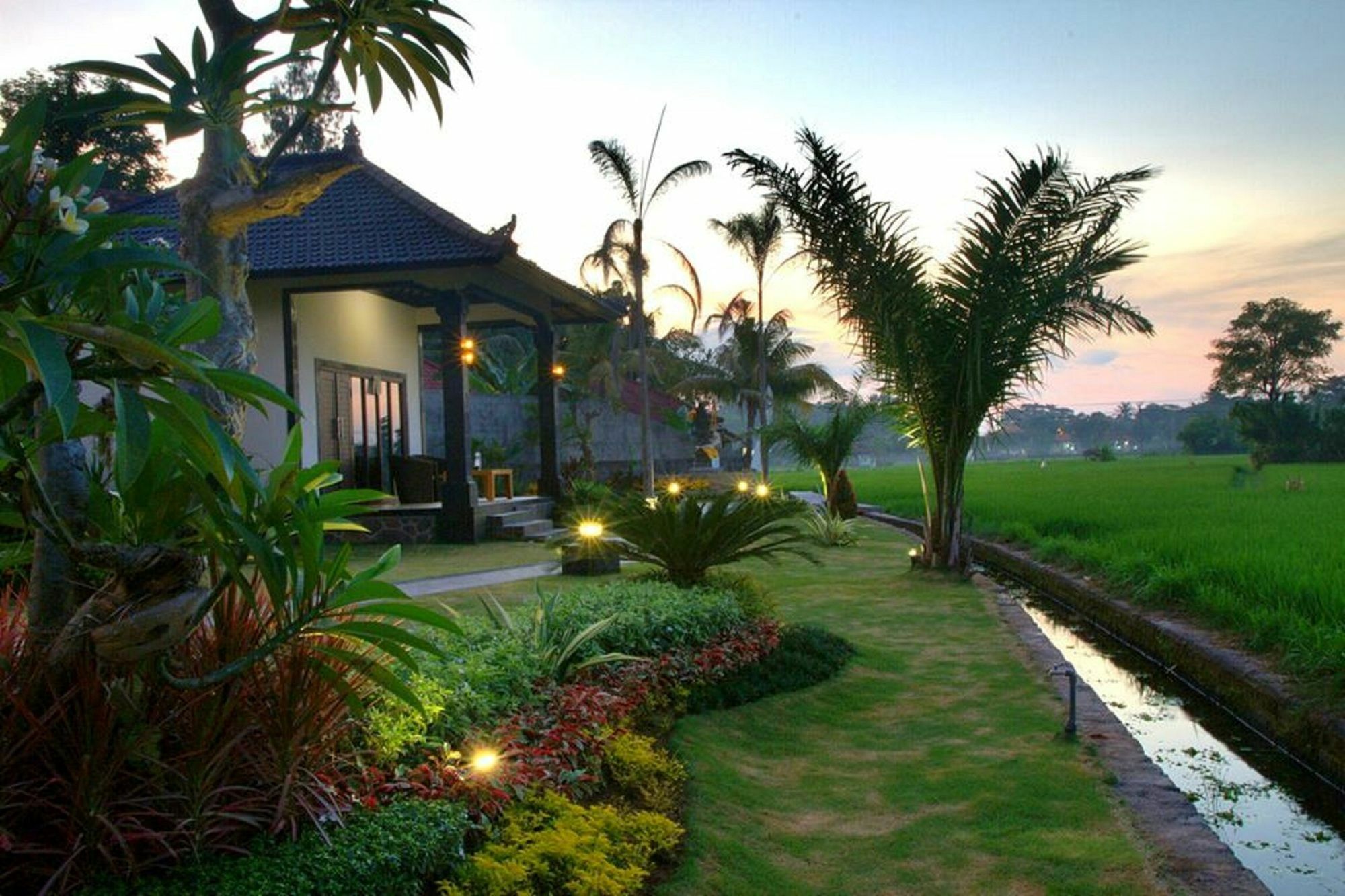 ปันดาวา วิลเลจ Hotel โลวินา ภายนอก รูปภาพ